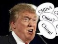 吃瓜蒙主间谍身份解析,间谍身份背后的真相与谜团