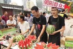 北京朝阳吃瓜,瓜界风云录，美食地图大揭秘